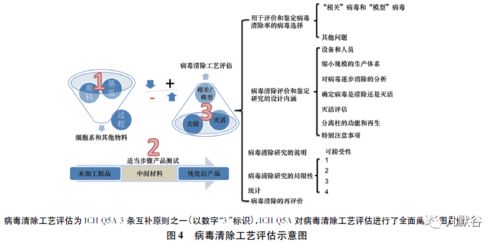 防微杜渐 生物制品病毒安全性控制的核心理念与实践路径