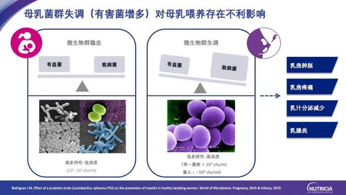 肠-乳腺轴研究新进展与健康产业应用前景